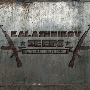 Express Mix Feminizovaná