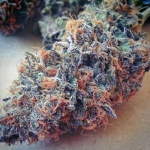 Ultimate Purple Feminizovaná