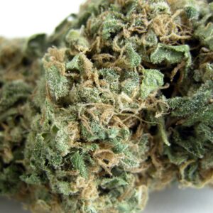 Original Skunk #1 Regulérní