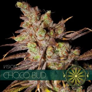 Choco Bud Feminizovaná