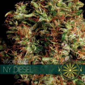 NY Diesel Feminizovaná