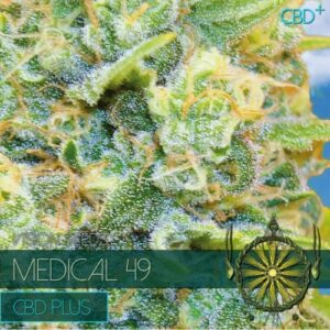 Medical 49 CBD+ Feminizovaná
