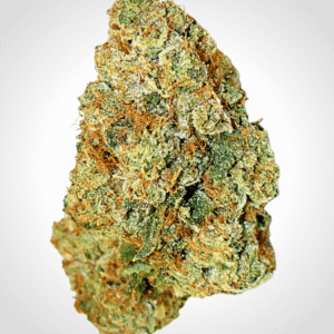 Expert Gorilla Auto Feminizovaná