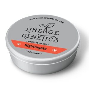 Nightingale Regulérní