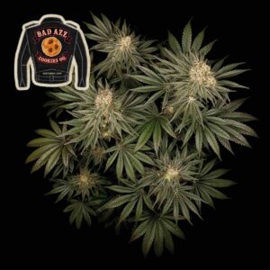 Badazz Cookies OG Feminizovaná