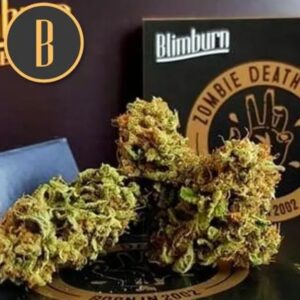 Zombie Death Fuck Feminizovaná