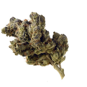 Blue Magic Feminizovaná