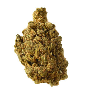 Blue Amnesia Auto Feminizovaná