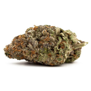 GDP Auto x Gumberry Auto Feminizovaná