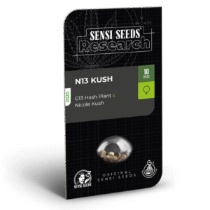 N13 Kush Feminizovaná