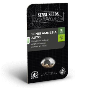 Sensi Amnesia Auto Feminizovaná