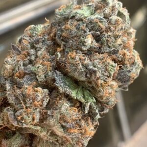 AK-47 Platinum Regulérní