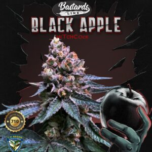 Black Apple Hitchcock Feminizovaná