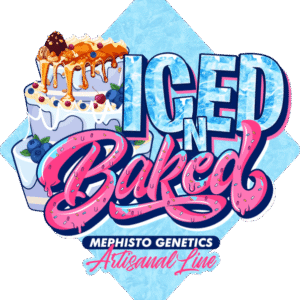 Iced 'n' Baked Auto Feminizovaná