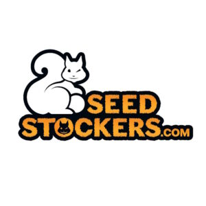 Terp & Tonic Auto Feminizovaná