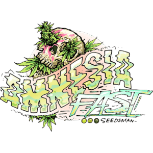 Amnesia Fast Feminizovaná