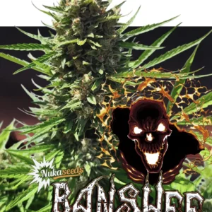Banshee
