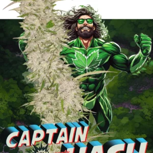 Captain Hash