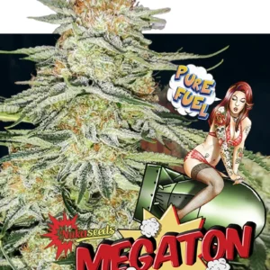 Megaton