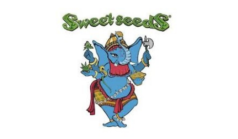 Sweet Seeds logo
