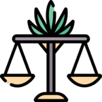 výnos semen konopí