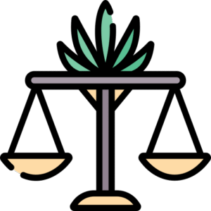 výnos semen konopí