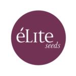 Élite Seeds