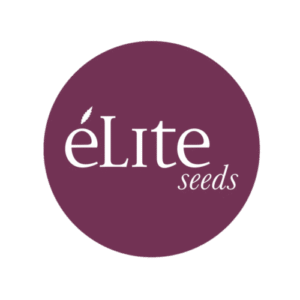 Élite Seeds