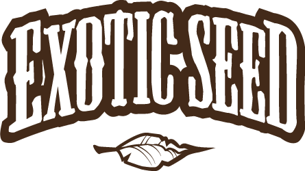 Exotic Seeds