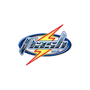 Flash Seeds
