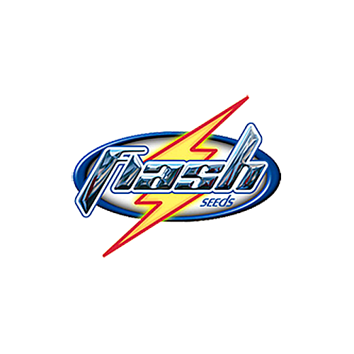 Flash Seeds