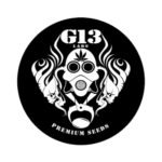 G13 Labs