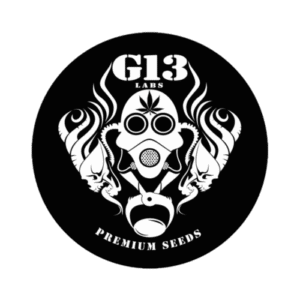 G13 Labs