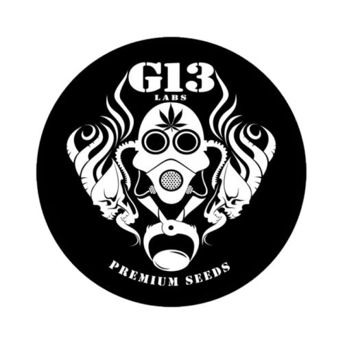 G13 Labs