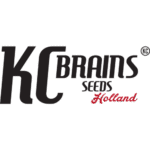 KC Brains Seeds