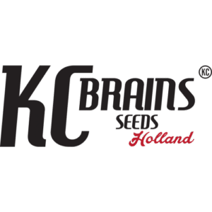 KC Brains Seeds