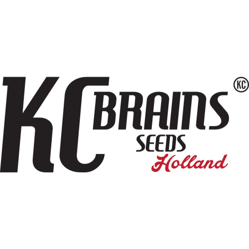 KC Brains Seeds