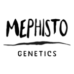 Mephisto Genetics