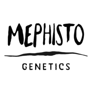 Mephisto Genetics
