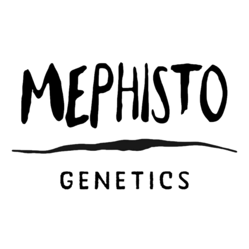 Mephisto Genetics