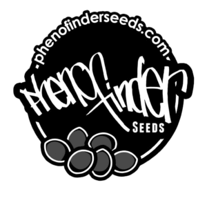 Pheno Finder Seeds