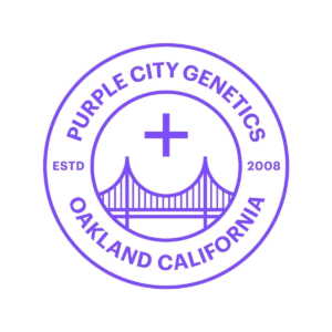 Purple CIty Genetics