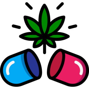 semena konopí genotyp