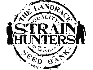 Strain Hunters
