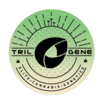 Trilogene Seeds