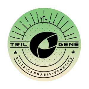 Trilogene Seeds