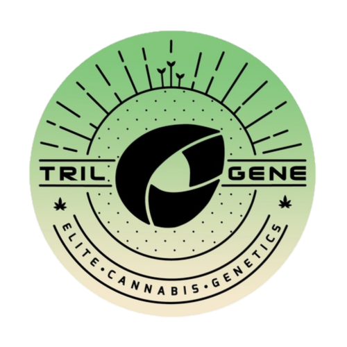 Trilogene Seeds