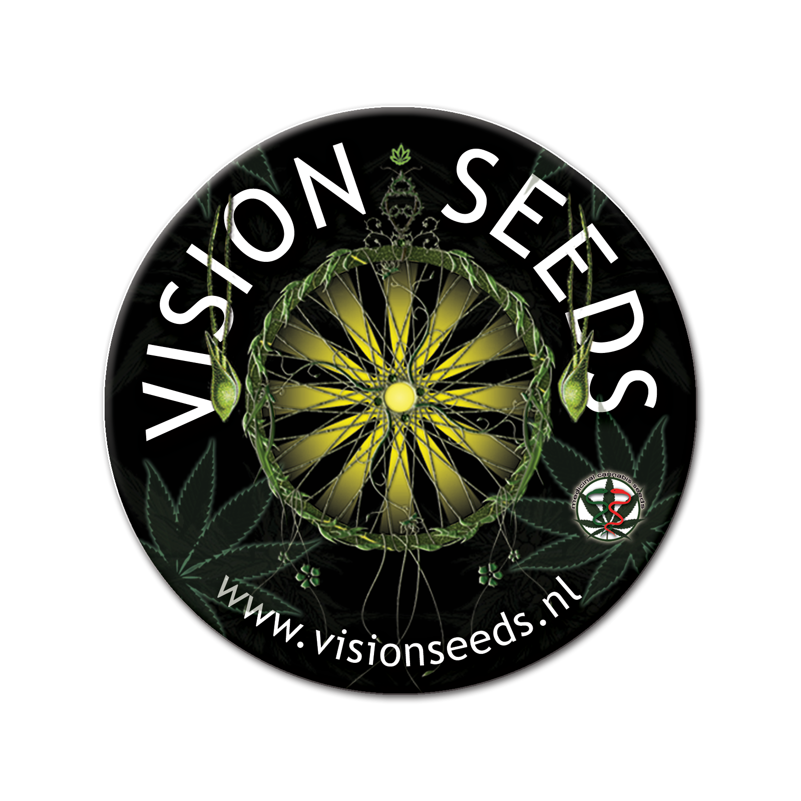 Vision Seeds